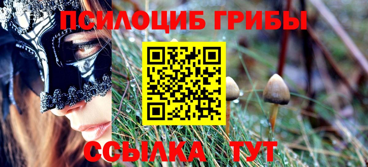 Псилоцибиновые грибы GOLDEN TEACHER  Псилоцибиновые грибы мухоморы  Лесной  Вход с VPN 